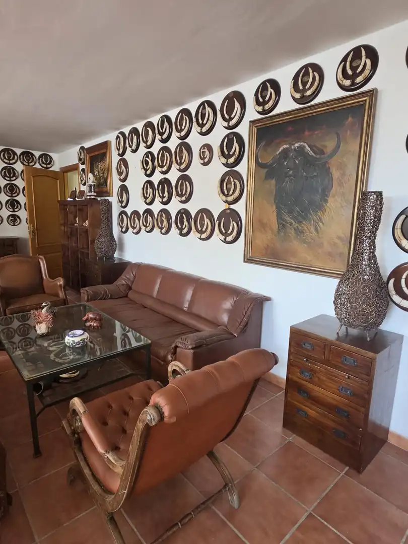 Sala de estar de Casa o chalet en venta en Casares