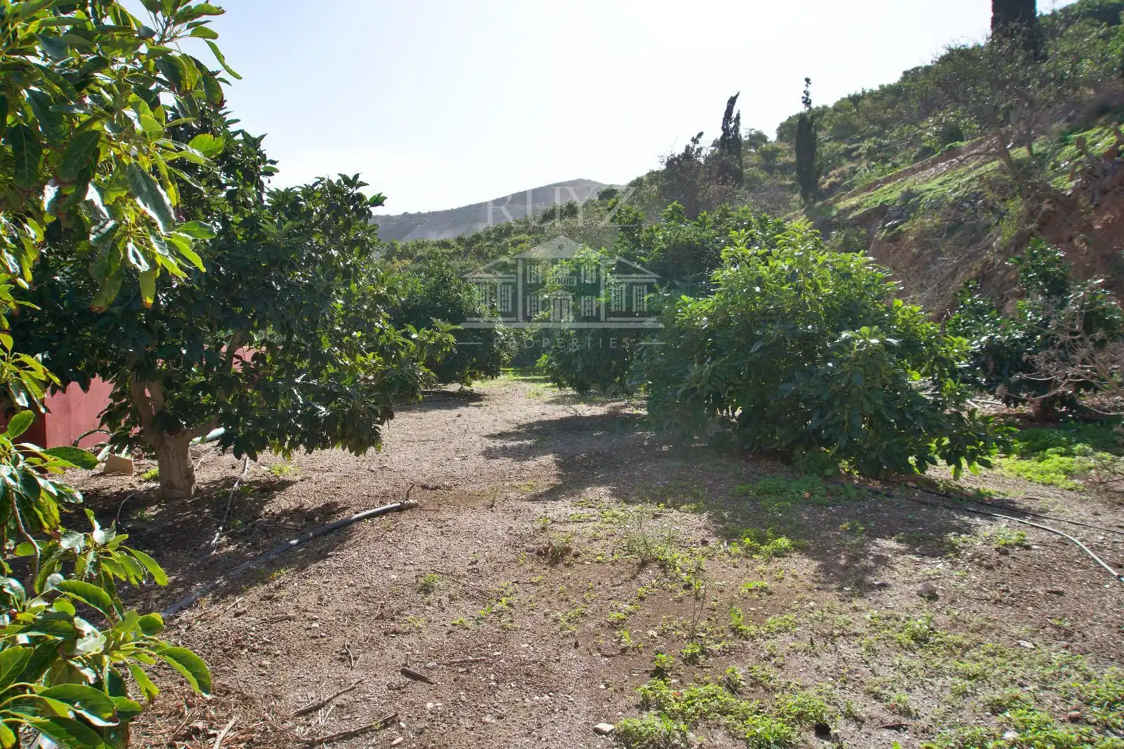 Terreni e lotti in vendita a Barranco del Inglés, imagen 32