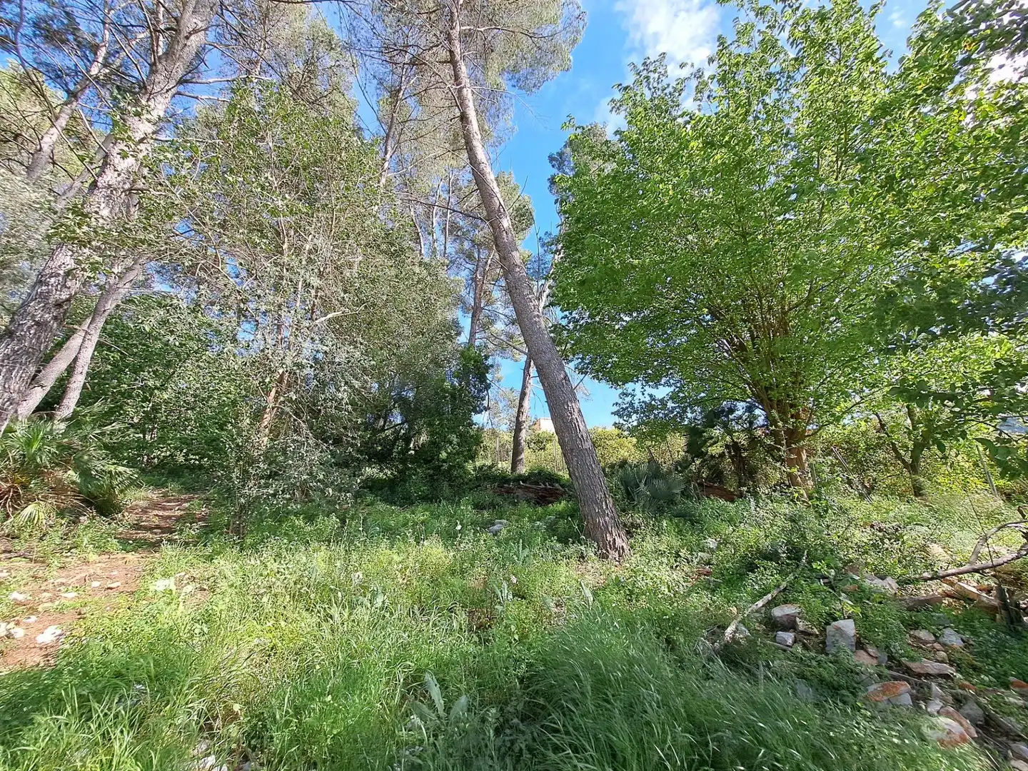 Country homes for sale in Alzira  with Swimming Pool