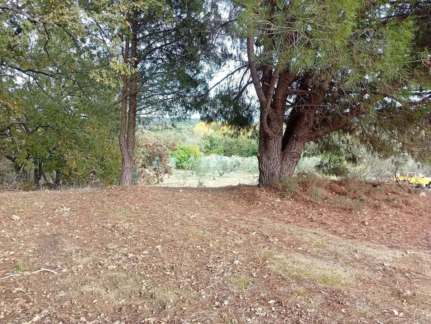 Terreni e lotti in vendita a Villanueva de la Vera, imagen 44