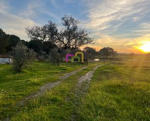 Finca rústica en venda en Badajoz Capital amb Calefacció, Parquet i Terrassa