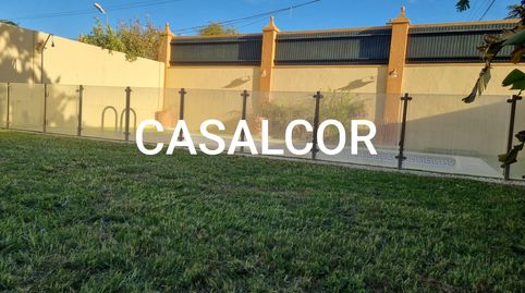 Photo 2 of Houses for rent in Mairena del Alcor, Sevilla