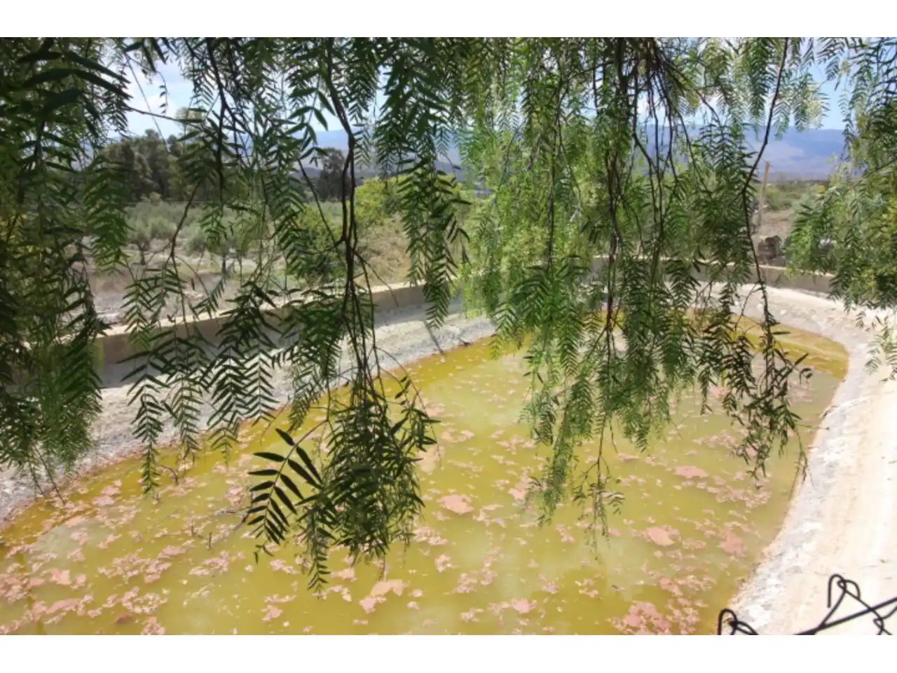 Country house for sale in Tabernas, imagen 8
