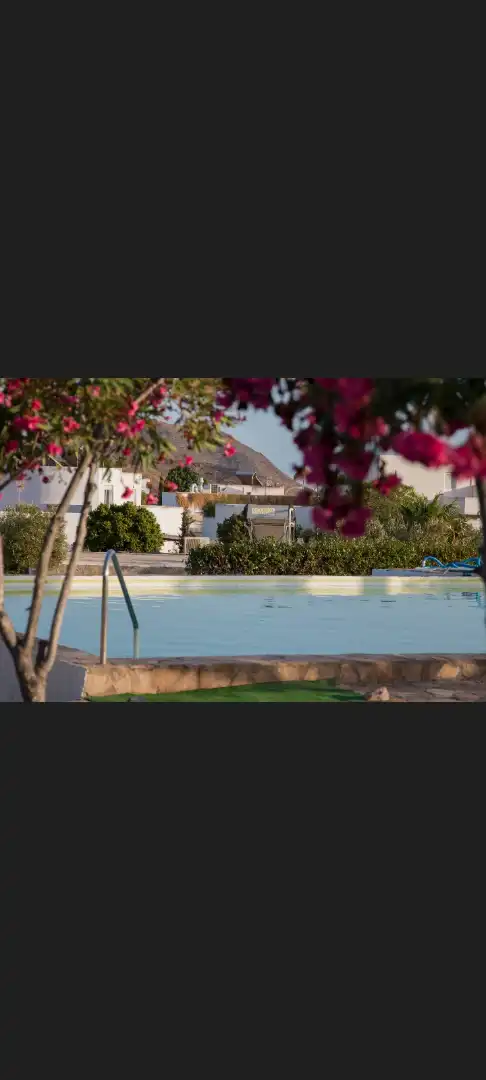 Villa mit Terrasse zur Miete in Carretera Níjar-San José 107, imagen 11
