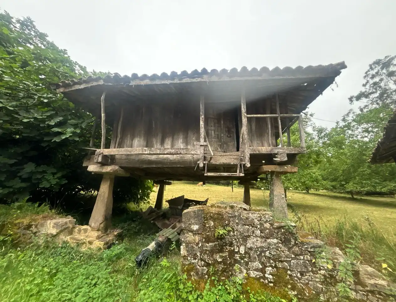 Vista exterior de Finca rústica en venda en Gijón  amb Jardí privat