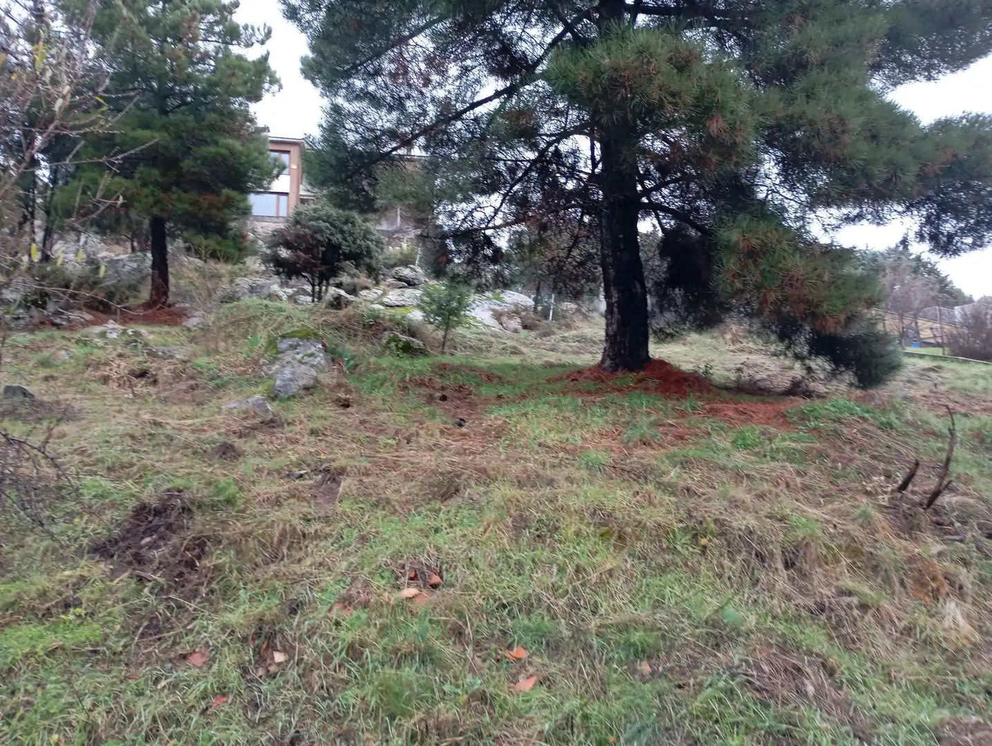 Terreni e lotti in vendita a Robledo de Chavela, imagen 31