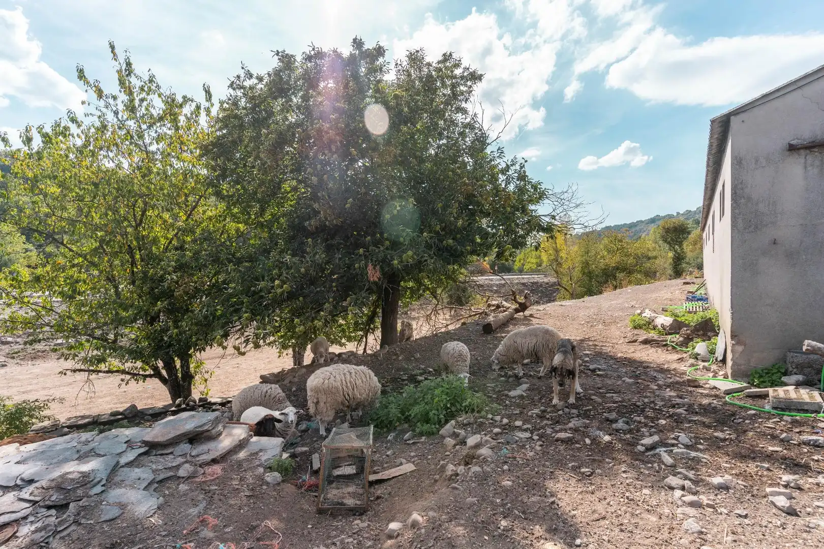 Vista exterior de Casa o chalet en venta en Palacios del Sil con Jardín privado