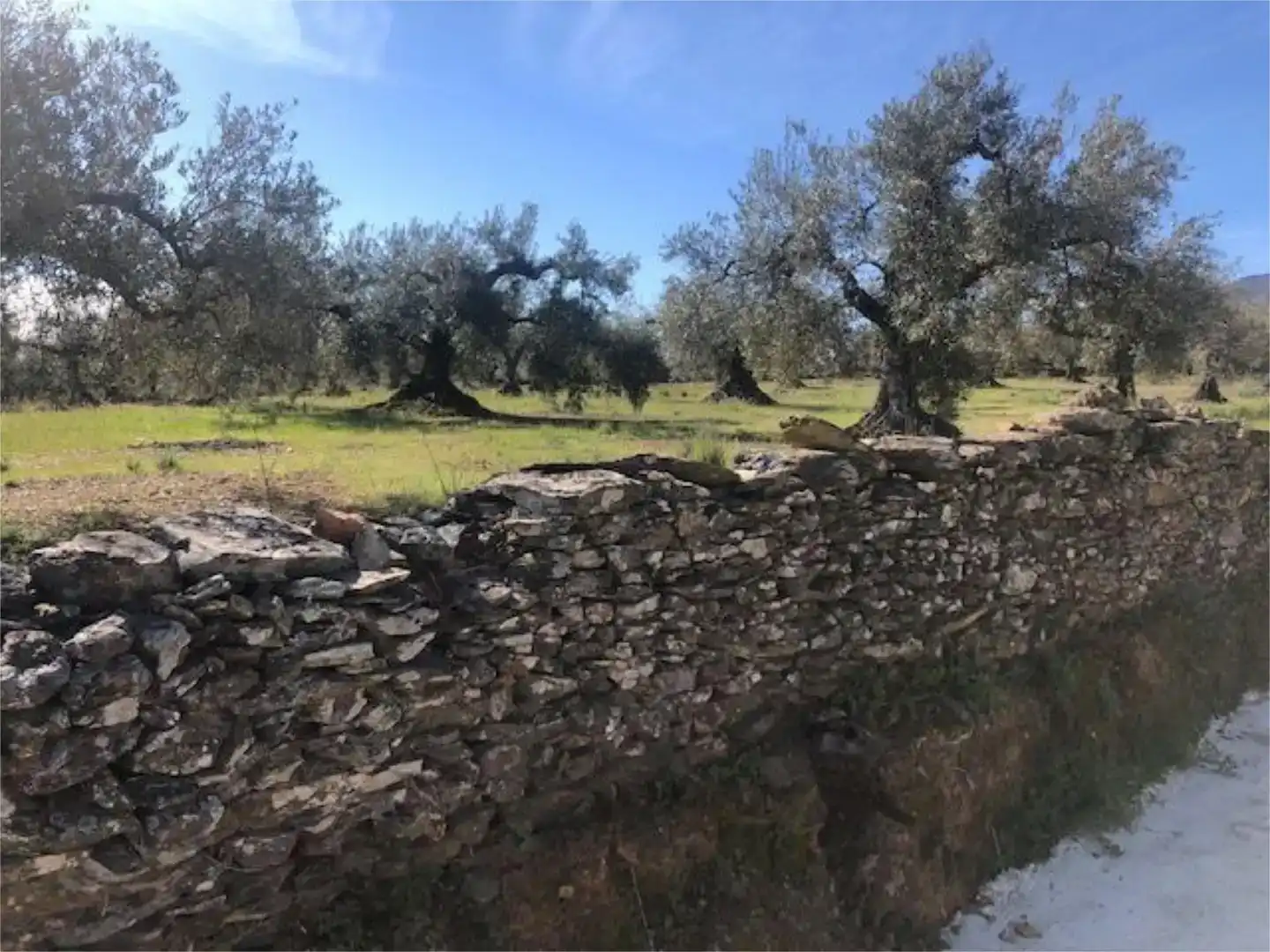 Pis en venda en Mohedas de la Jara amb Jardí privat, Traster i Moblat