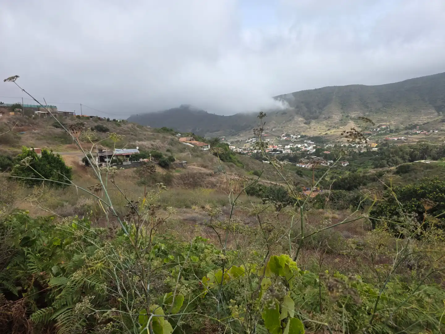 Rural land for sale in Camino las Peñuelas 11, imagen 7