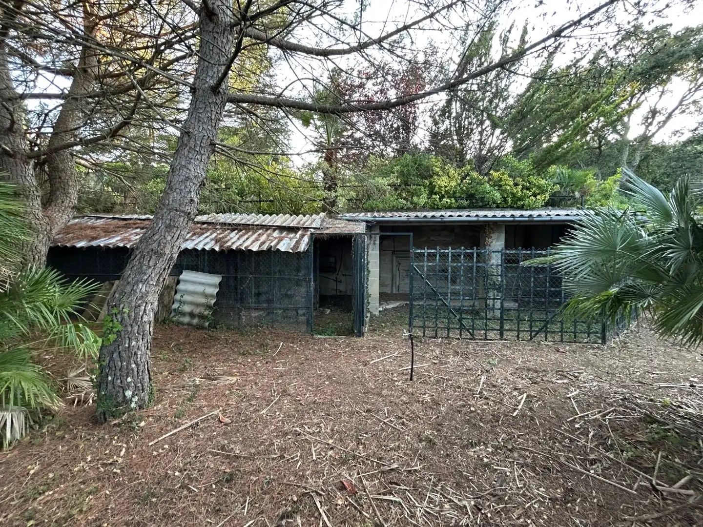 Terreno residencial en venta en Carrer Turó de Monfort 51, imagen 19