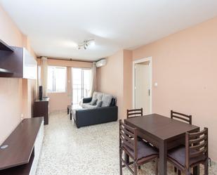 Living room of Flat for sale in  Granada Capital  with Air Conditioner, Terrace and Balcony