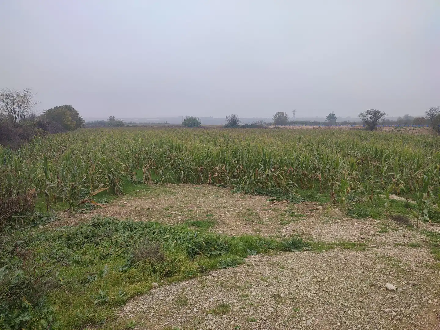 Terreno rustico in vendita a Castelldans, imagen 9