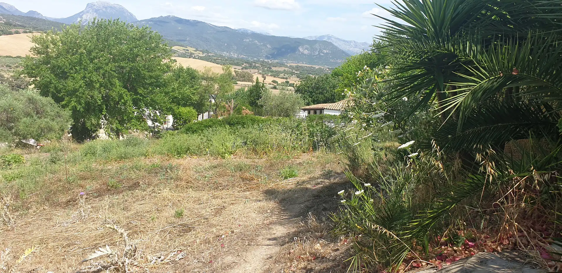 Villa in vendita a Prado del Rey, imagen 21