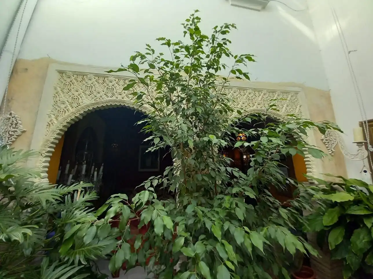Garden of Houses for sale in Ronda  with Heating and Storage room