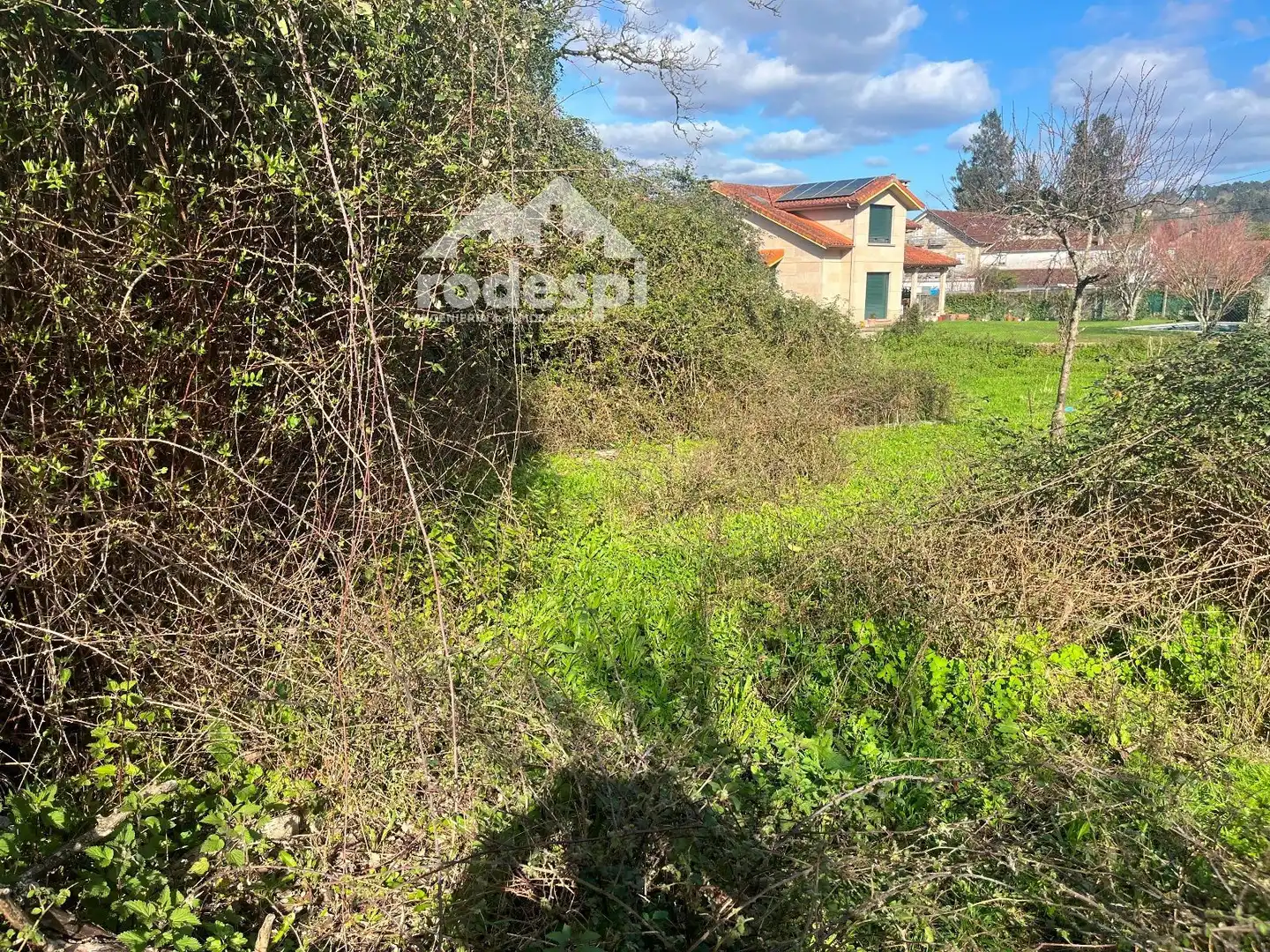 Terrain rustique à vendre à Mondariz-Balneario, imagen 6