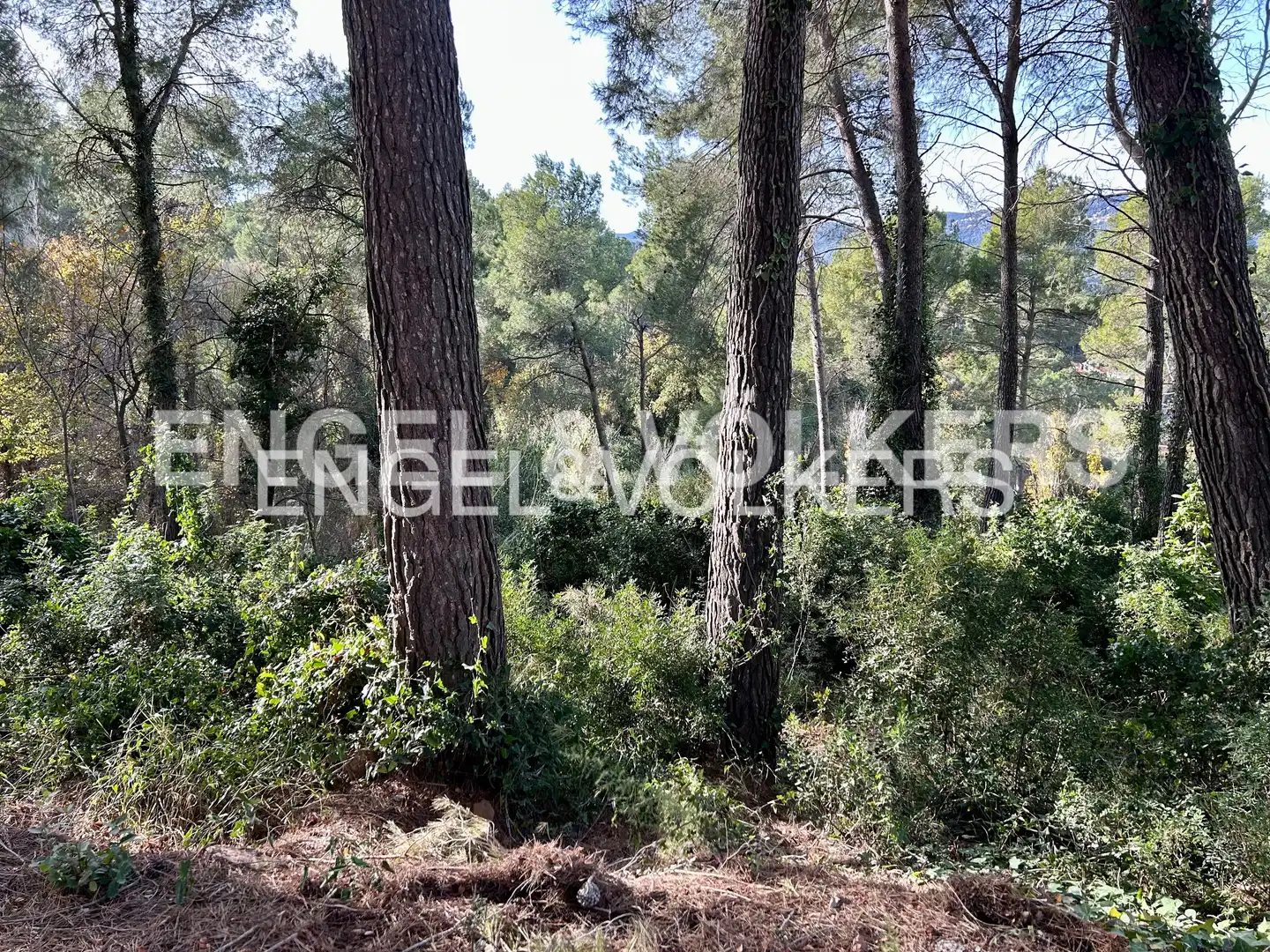 Terreny residencial en venda a Corbera de Llobregat, imagen 6