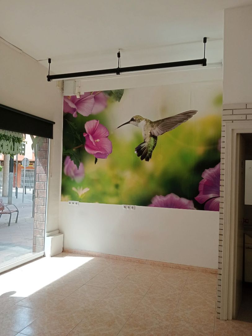 Jardí de Local en venda en Benicarló