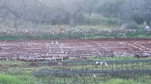 Foto 5 de Casa o xalet en venda a Partida Montalba, Vall d'Alba, Castellón