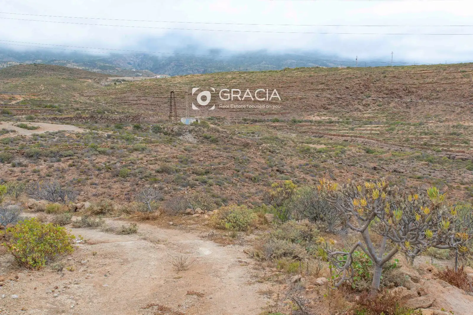 Terreno rustico in vendita a tf629, imagen 14