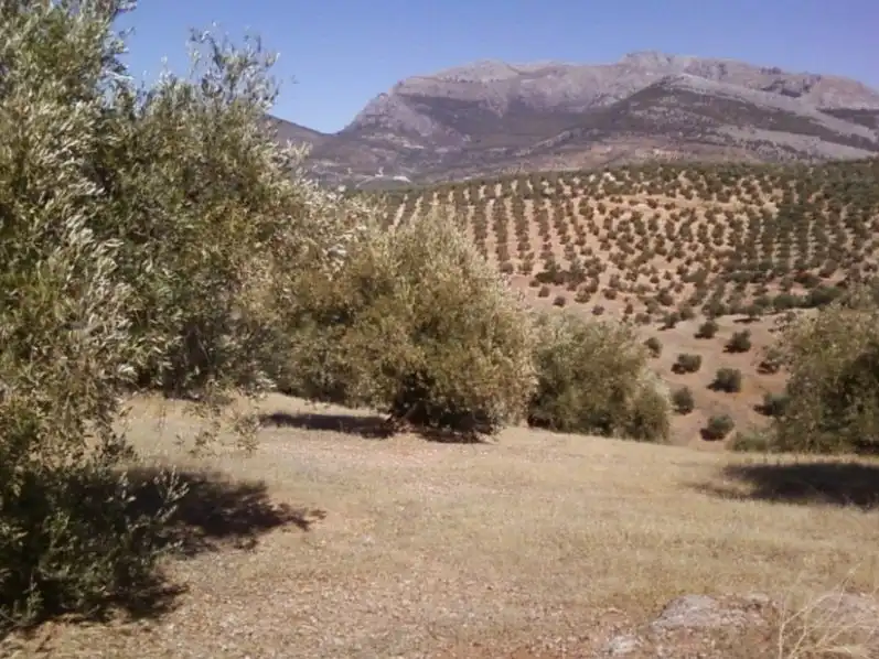 Terreni e lotti in vendita a Torres, imagen 4