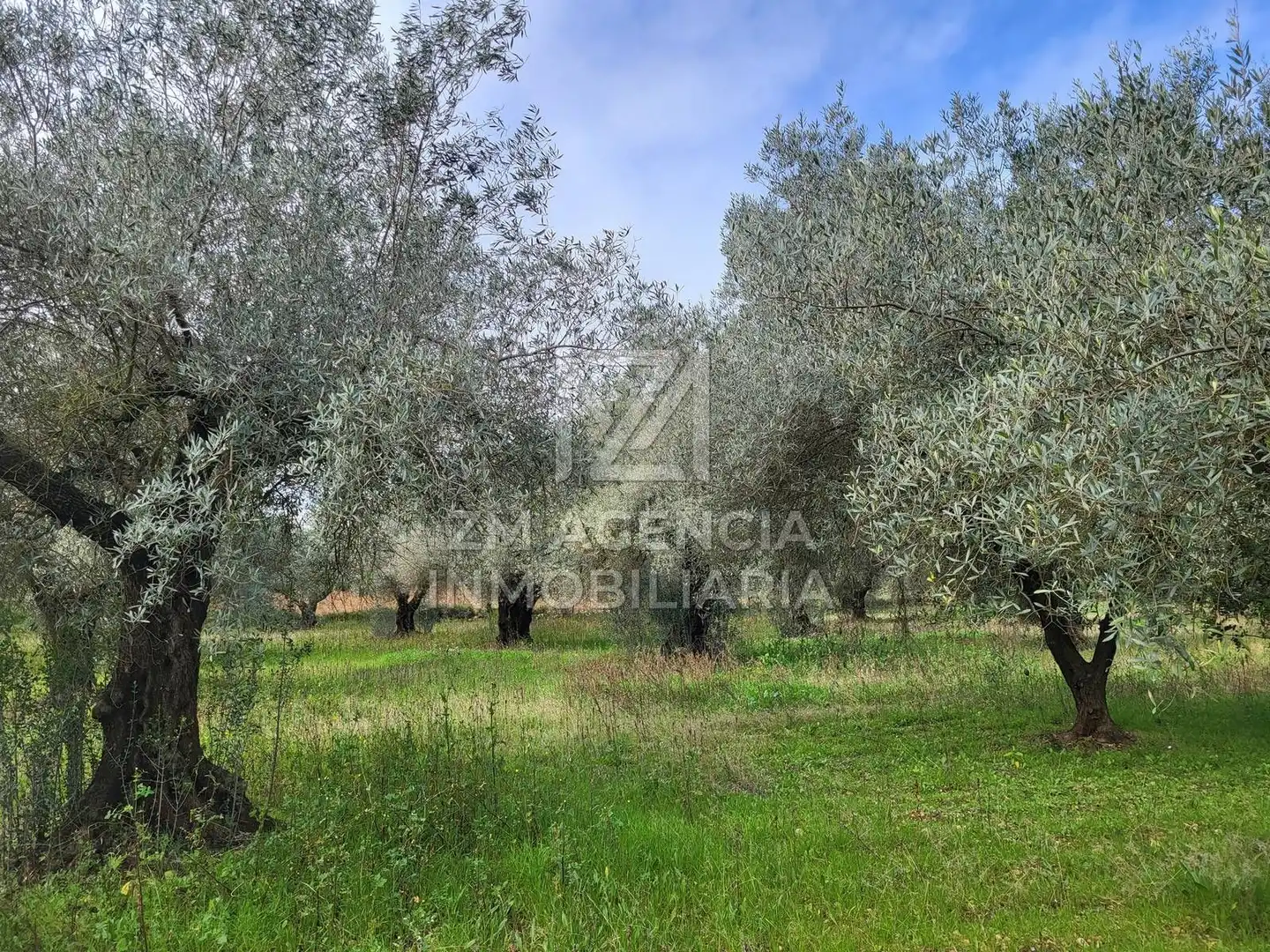Terreno rustico in vendita a Cabanes, imagen 14