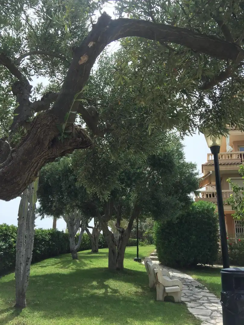 Garden of Flat for sale in El Campello  with Private garden, Terrace and Balcony