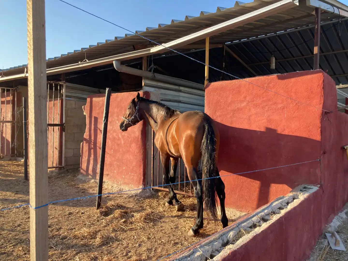 Casa rústica con piscina en venta en La Murada - Los Vicentes, imagen 21