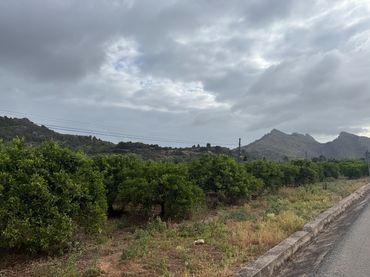Terreny rústic en venda a Sagra