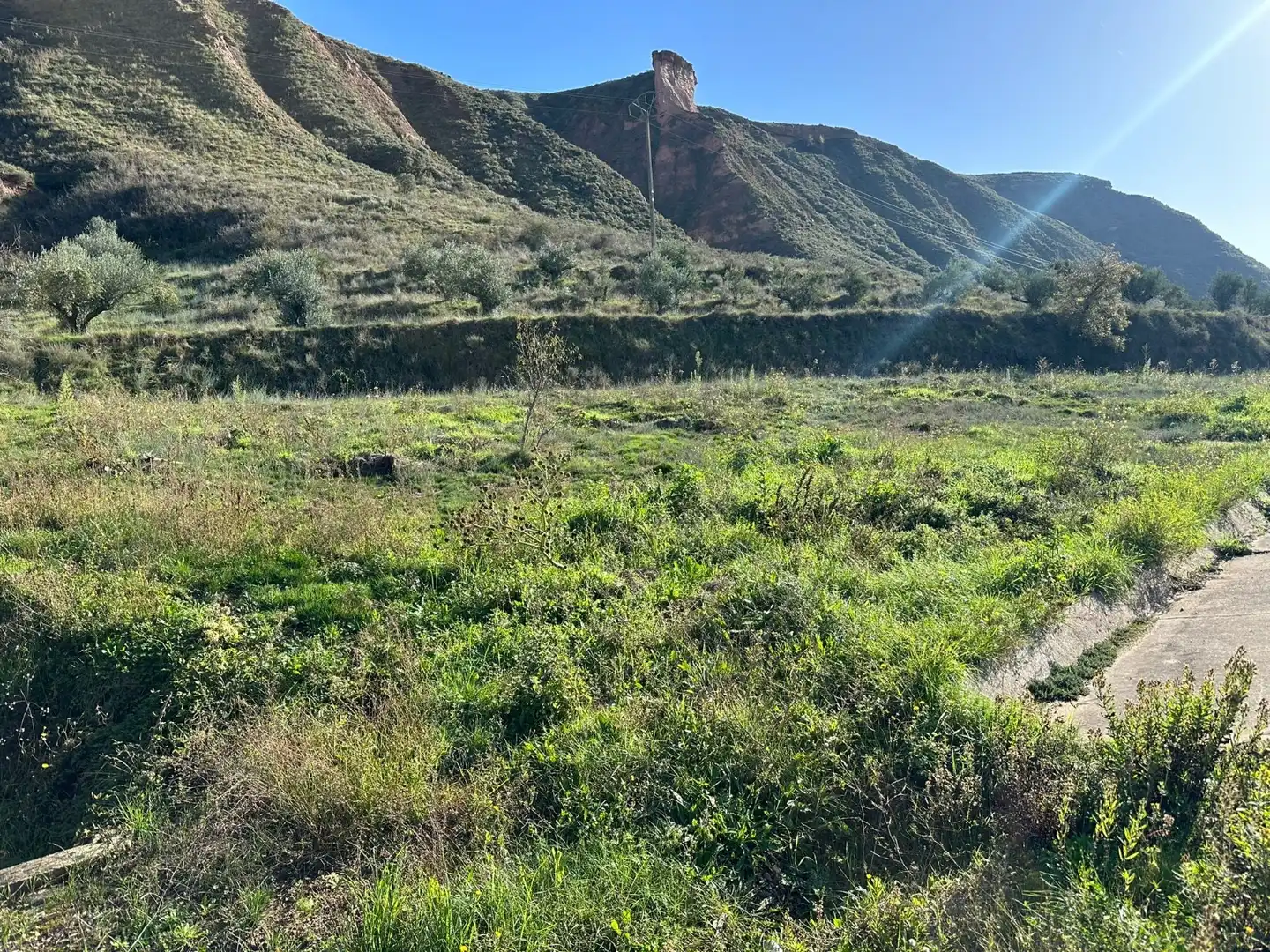 Terreno rústico en venta en Albelda de Iregua