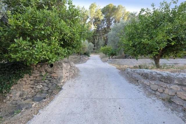 Finca rústica en Venta en Pasaje Polígono 5 Parcela 136 SERREZUELA. VILLAMEN en Villamena