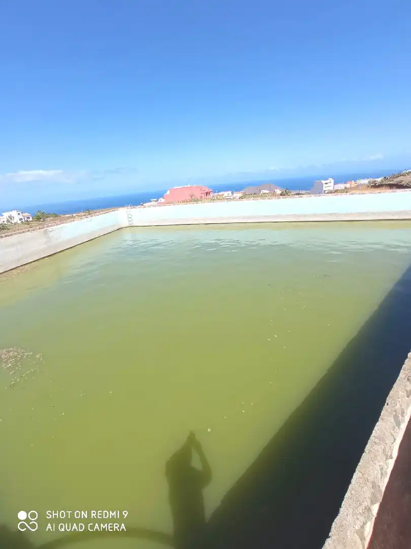 Piscina de Casa o xalet en venda en Arafo amb Jardí privat, Terrassa i Traster