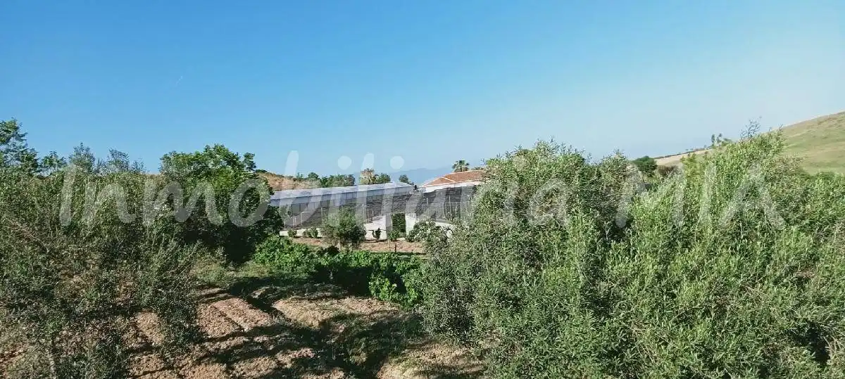 Casa o chalet en venta en Alhaurín de la Torre