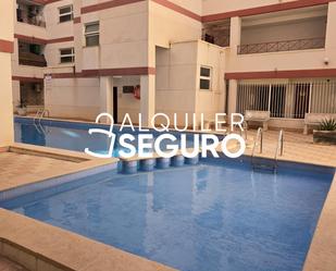 Swimming pool of Flat to rent in Torrevieja  with Air Conditioner, Terrace and Swimming Pool