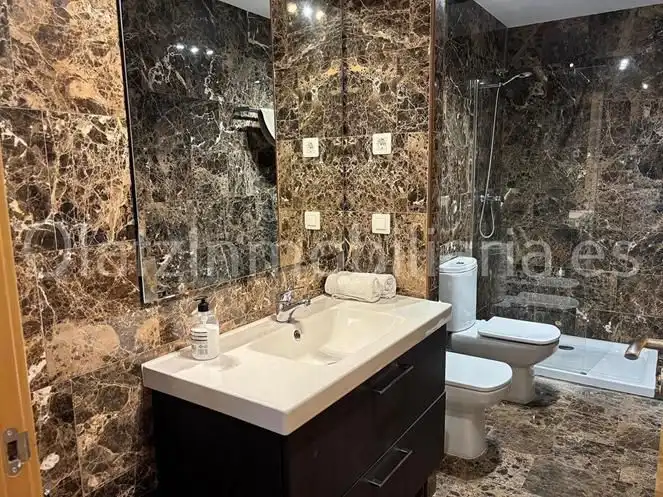 Bany de Casa o xalet en venda en Laudio / Llodio amb Aire condicionat, Calefacció i Jardí privat