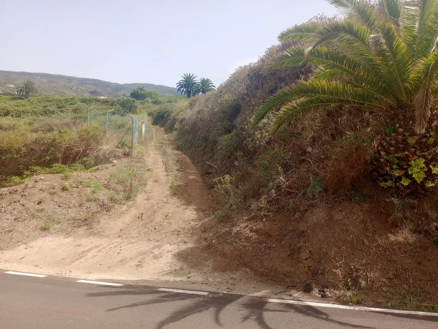 Terreny rústic en venda a Carretera General Ochocientos Veinte 76, imagen 24