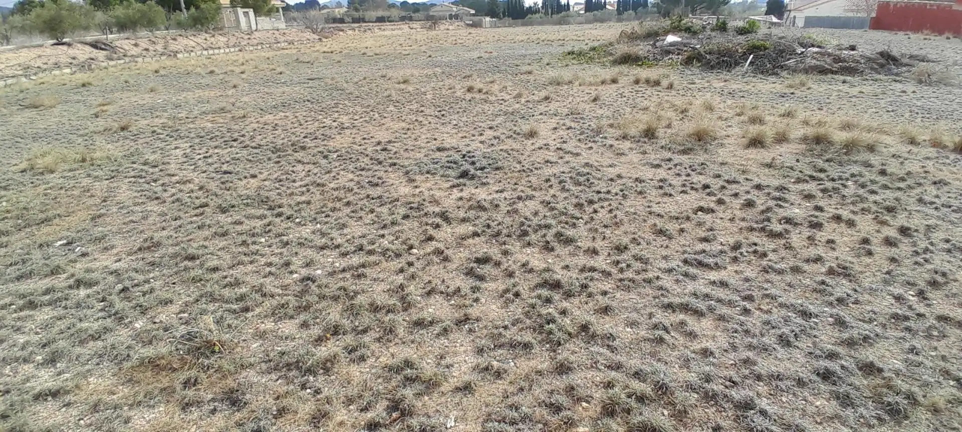 Casa o xalet en venda en Yecla amb Piscina i Moblat