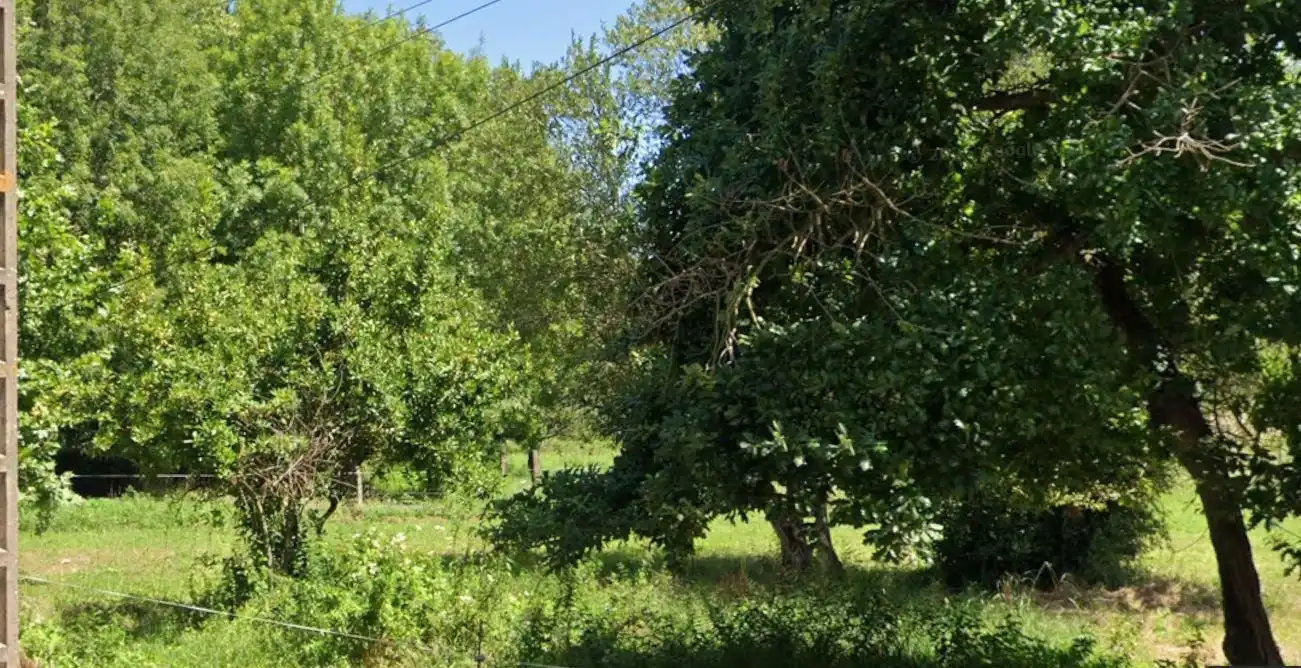 Terreni e lotti in vendita a Galizano, imagen 8
