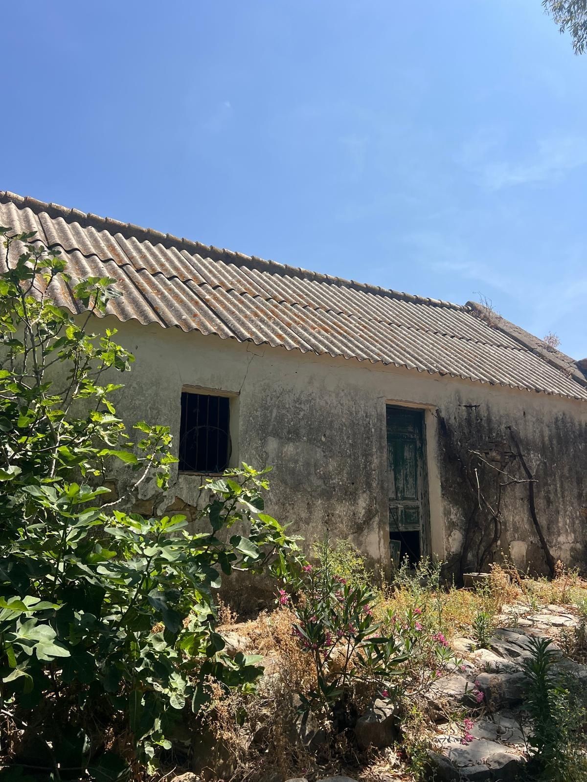 Exterior view of Country house for sale in Vejer de la Frontera  with Private garden
