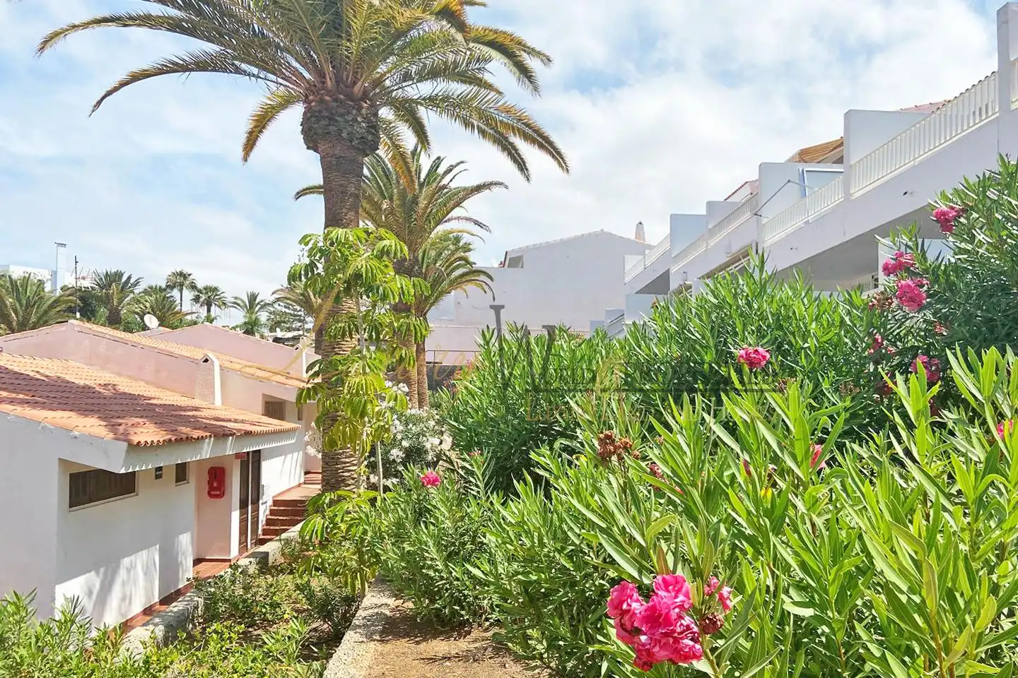 Vista exterior de Apartament en venda en Adeje amb Terrassa i Piscina comunitària