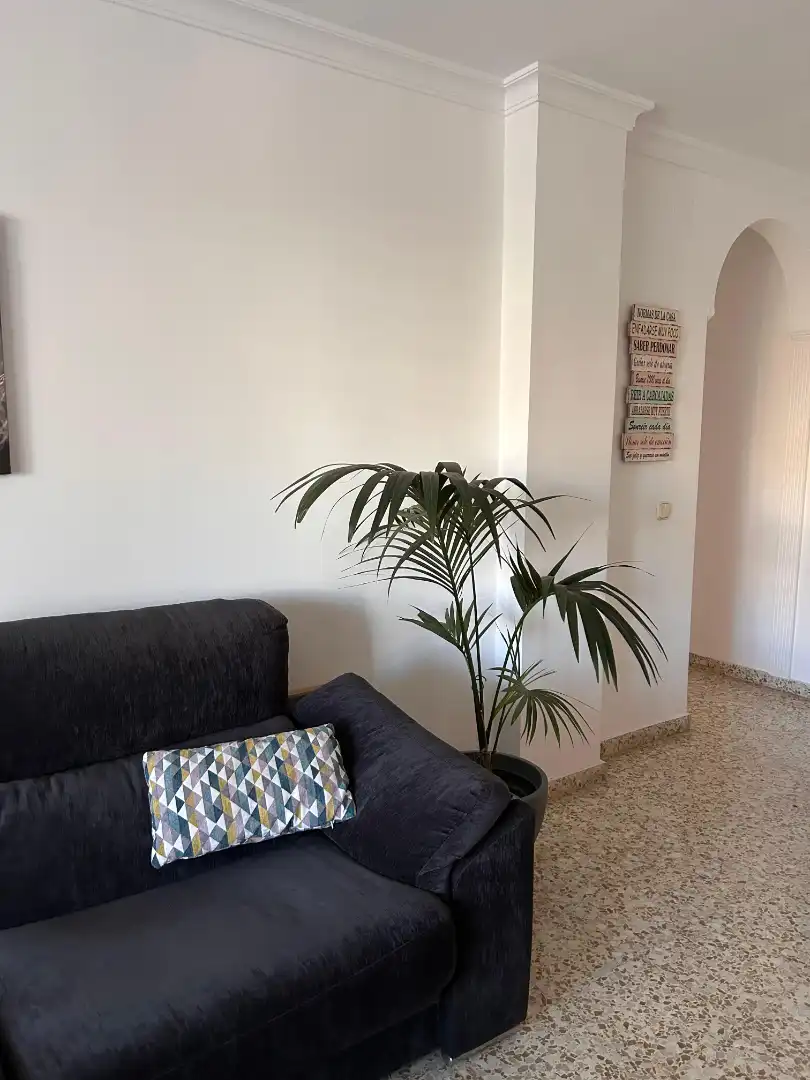 Sala de estar de Piso en venta en Málaga con Aire acondicionado, Calefacción y Amueblado