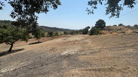 Foto 2 de Terreno en venta en Camino Nicola, El Velerín, Málaga
