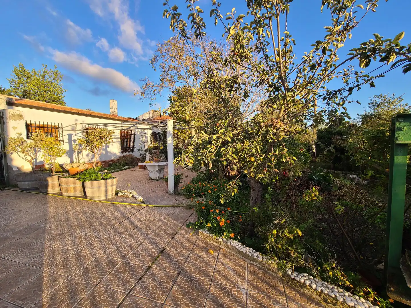 Nave industrial en venta en La Victoria - Puente Jardín, imagen 4