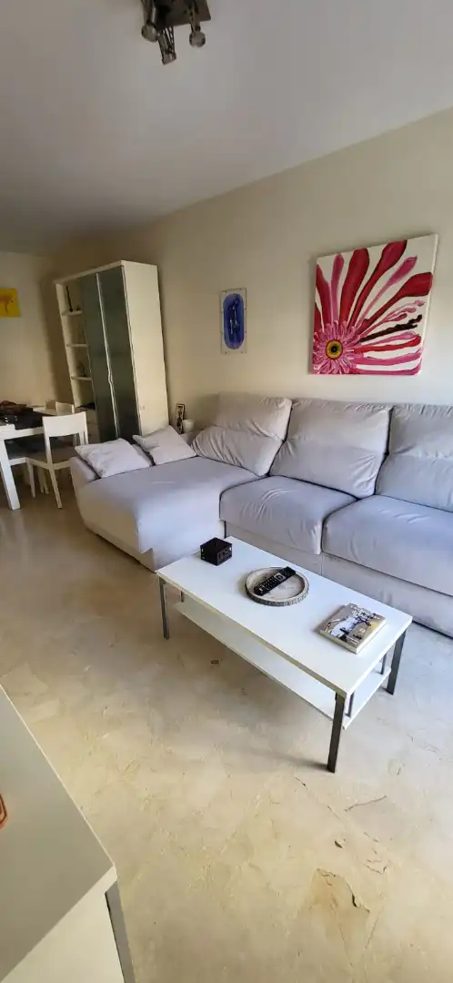 Wohnung mit Terrasse zum Verkauf in El Ejido Ciudad, imagen 8