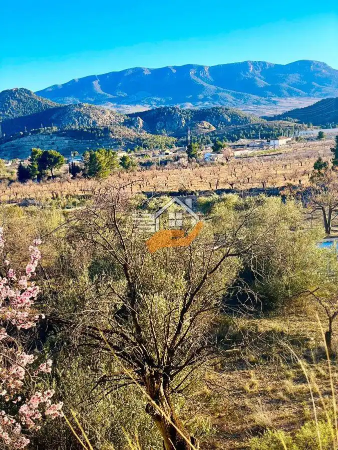 Residential land for sale in Vélez-Rubio, imagen 17