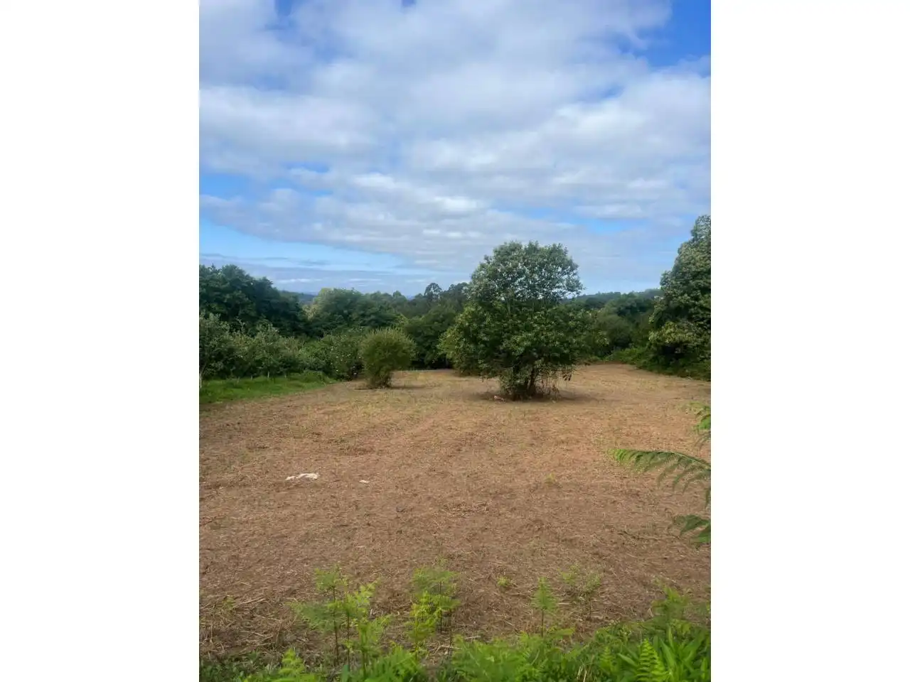Residential land for sale in Lugar cachufeira, imagen 3