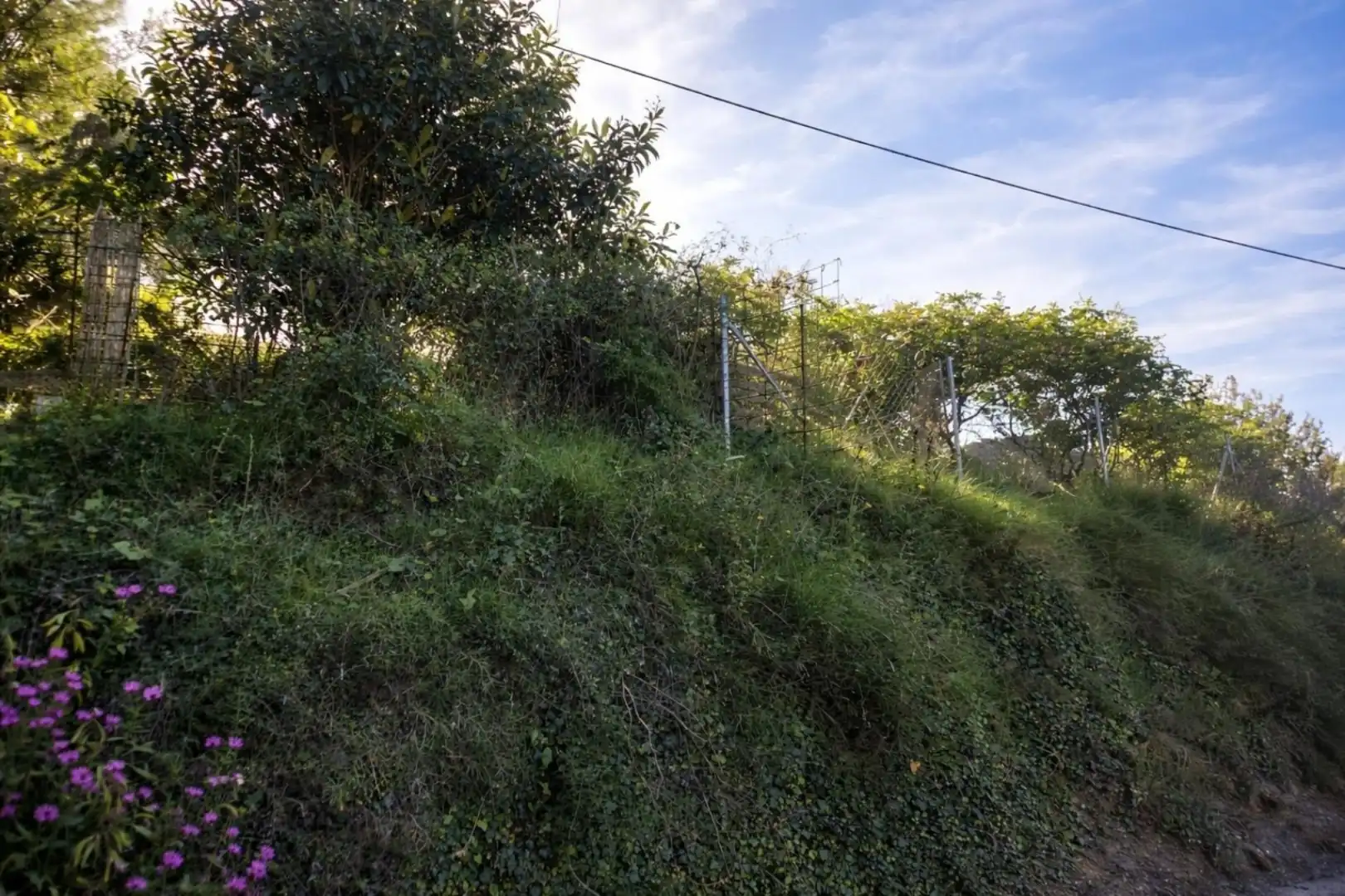 Terreno rústico en venta en Benimeli, imagen 7