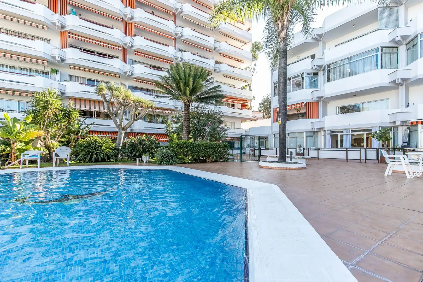 Flat with pool for sale in Zona Botánico, imagen 14