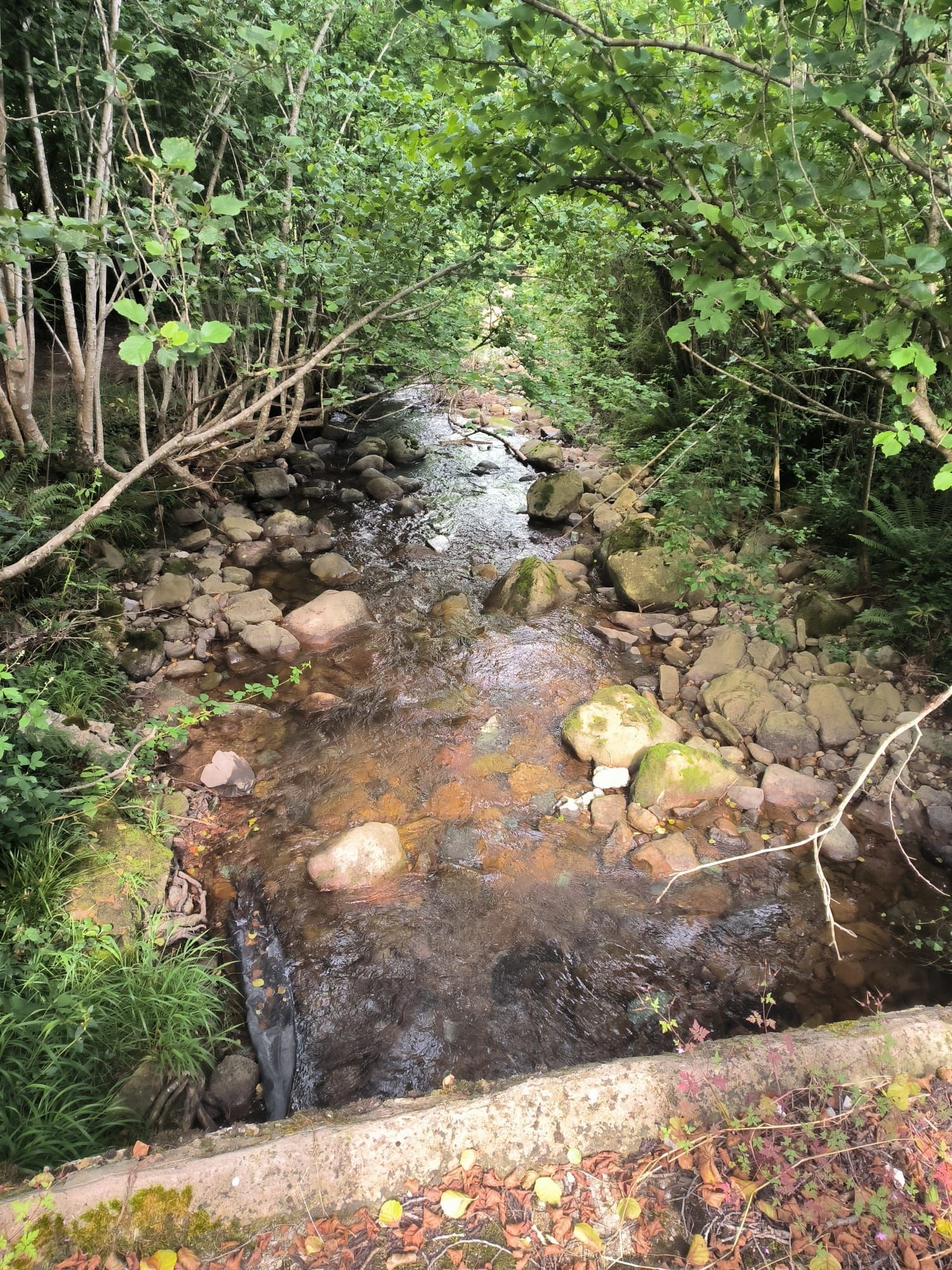 House or chalet for rent in Barrio Pedrosa, San Roque de Riomiera