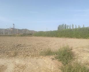 Land for sale in El Burgo de Ebro