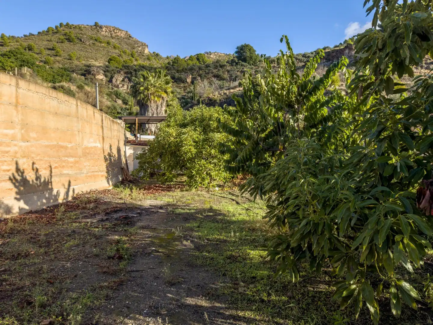 Finca rústica en venda en Los Guájares amb Terrassa i Traster